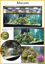 Aquarium eau douce book5.jpg