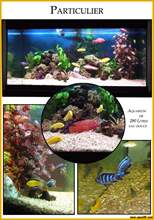 Aquarium eau douce book7.jpg