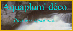 aquaplume