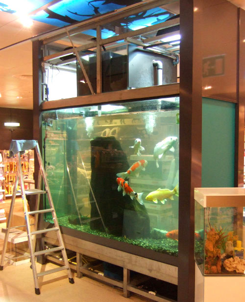 Réparation d'aquarium