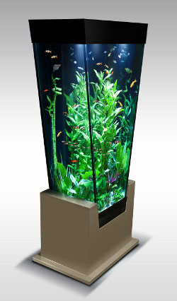 installation d'aquarium