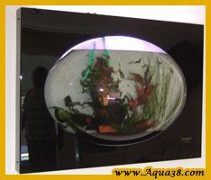 Modification d'aquariums