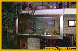 installation d'aquarium