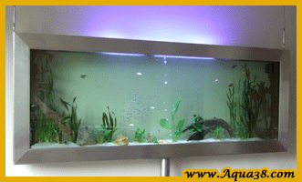 installation d'aquarium